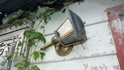 July 2015 - Deer-on-the-Door2.jpg