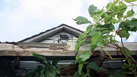 July 2015 - Deer-on-the-Door8.jpg