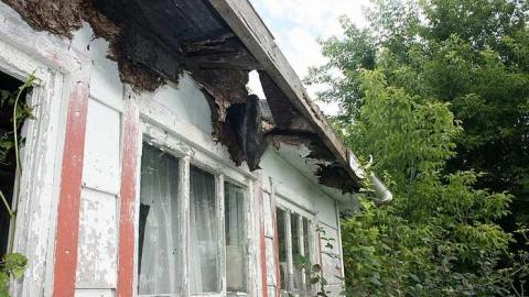 July 2015 - Deer-on-the-Door3.jpg