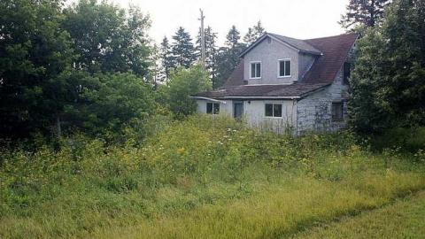 July 2015 - Deer-on-the-Door4.jpg
