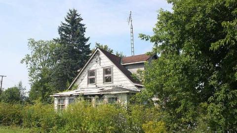 July 2015 - Deer-on-the-Door10.jpg