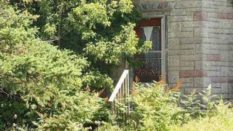 July 2015 - External - 23Jul-15C 149.jpg