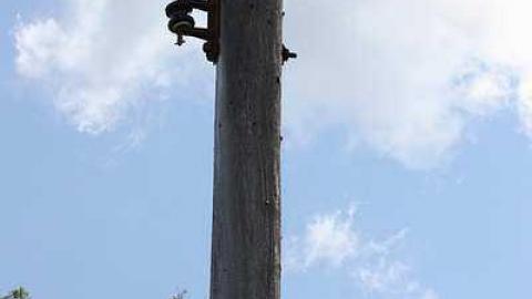 July 2015 - External - 23Jul-15C 153.jpg