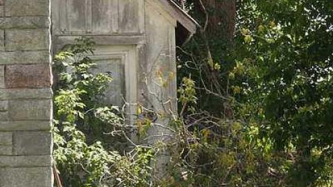 July 2015 - External - 23Jul-15C 156.jpg