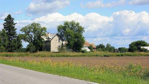 July 2015 - External - 23Jul-15C 162.jpg