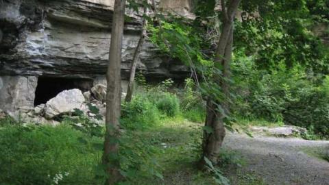 The Morningstar Mine photo 2