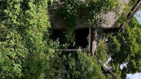 Happily Never After - Donald-Schenk-farm115.jpg