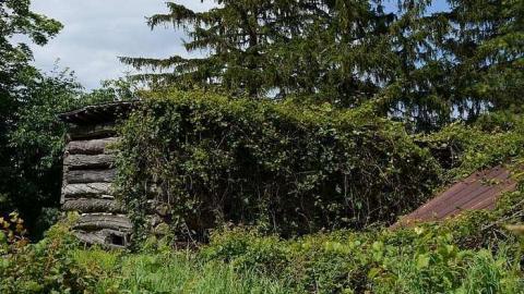 Happily Never After - Donald-Schenk-farm116.jpg