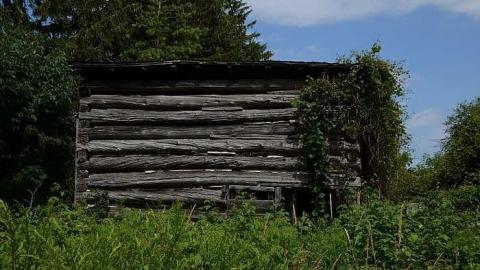 Happily Never After - Donald-Schenk-farm70.jpg