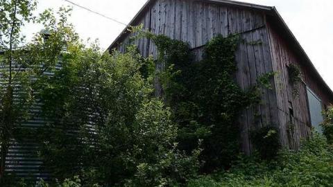 Happily Never After - Donald-Schenk-farm117.jpg