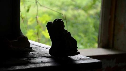 Happily Never After - Donald-Schenk-farm73.jpg