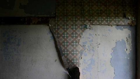 Happily Never After - Donald-Schenk-farm33.jpg