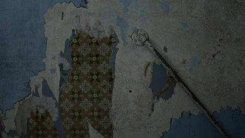 Happily Never After - Donald-Schenk-farm34.jpg