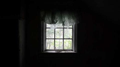 Happily Never After - Donald-Schenk-farm86.jpg