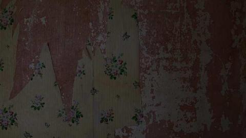 Happily Never After - Donald-Schenk-farm9.jpg