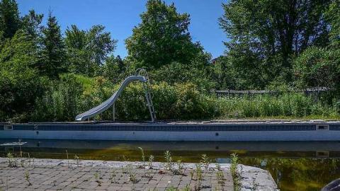 Capacious Red - Capacious-Red20.jpg