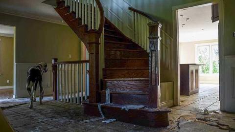 Capacious Red - Capacious-Red42.jpg