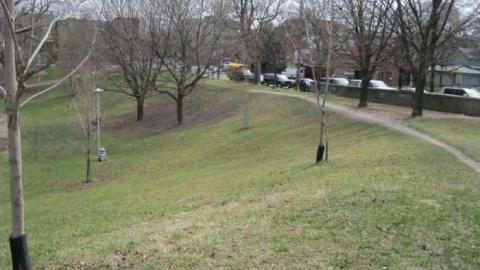 Harbord Street Bridge - Harbord-Street-Burried-Bridge1.jpg