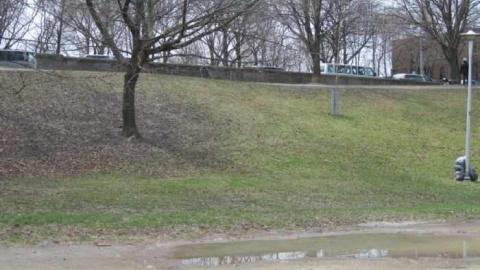 Harbord Street Bridge - Harbord-Street-Burried-Bridge2.jpg