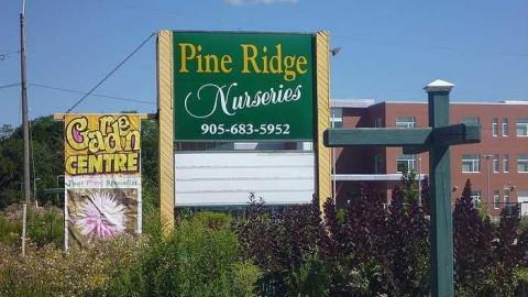 Pickering Perrenials photo 3