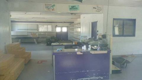 Pickering Perrenials photo 2