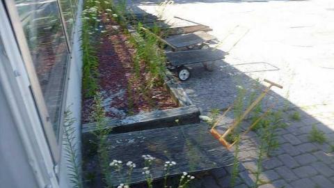 July 30th 2015 - 1_00007.jpg