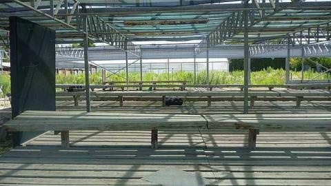 July 30th 2015 - 1_00008.jpg