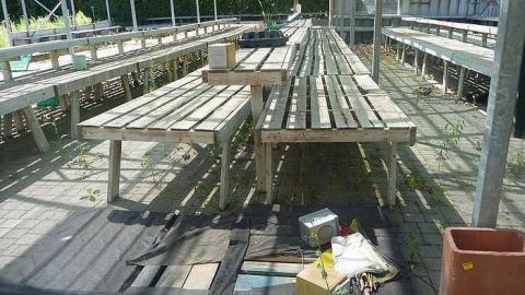 July 30th 2015 - 1_00009.jpg