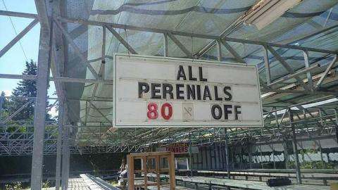 Pickering Perrenials - Pickering, Ontario