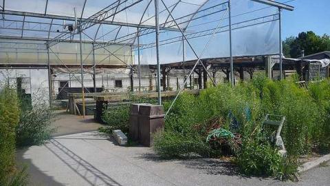 July 30th 2015 - 1_00011.jpg