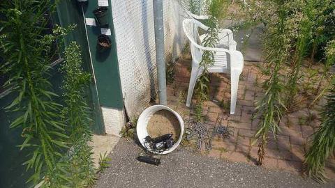 July 30th 2015 - 1_00012.jpg