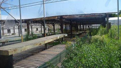 July 30th 2015 - 1_00013.jpg