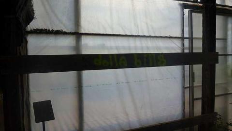 July 30th 2015 - 1_00016.jpg