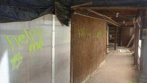 July 30th 2015 - 1_00017.jpg