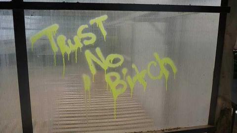 July 30th 2015 - 1_00022.jpg