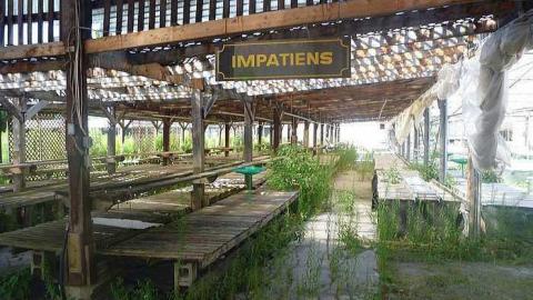 July 30th 2015 - 1_00023.jpg