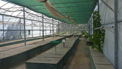 July 30th 2015 - 1_00025.jpg