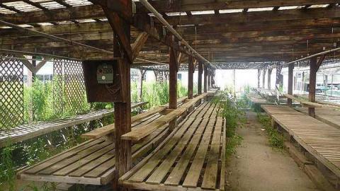 July 30th 2015 - 1_00026.jpg