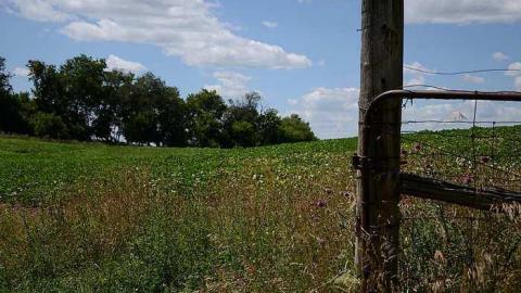 Latched Into Darkness - Latched-Into-Darkness124.jpg