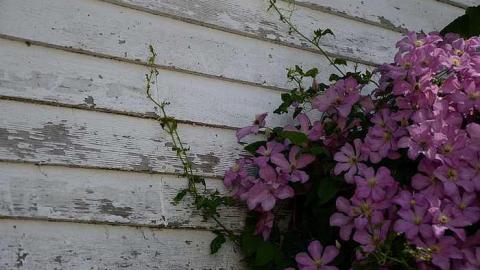 Latched Into Darkness - Latched-Into-Darkness119.jpg