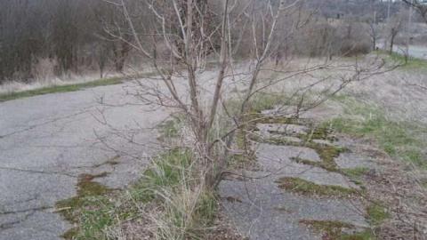 Abandoned  one - Toronto, Ontario