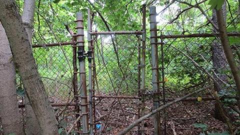 Photo from Rusty Gates