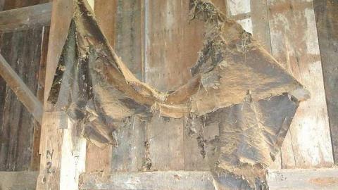 Sideroad 28 barn photo 2