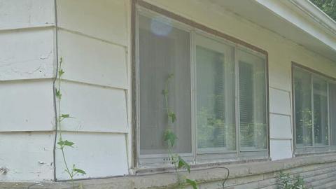 70's Retro - DSC_2858.jpg