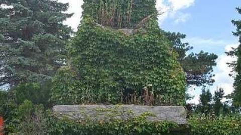 Cullen Gardens 4 - Cullen-Gardens80.jpg