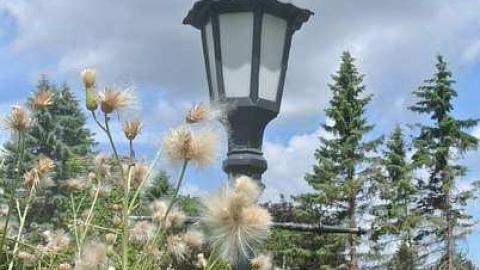 Cullen Gardens 4 - Cullen-Gardens314.jpg