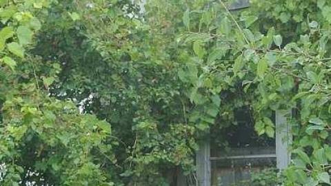 Cullen Gardens 4 - Cullen-Gardens85.jpg