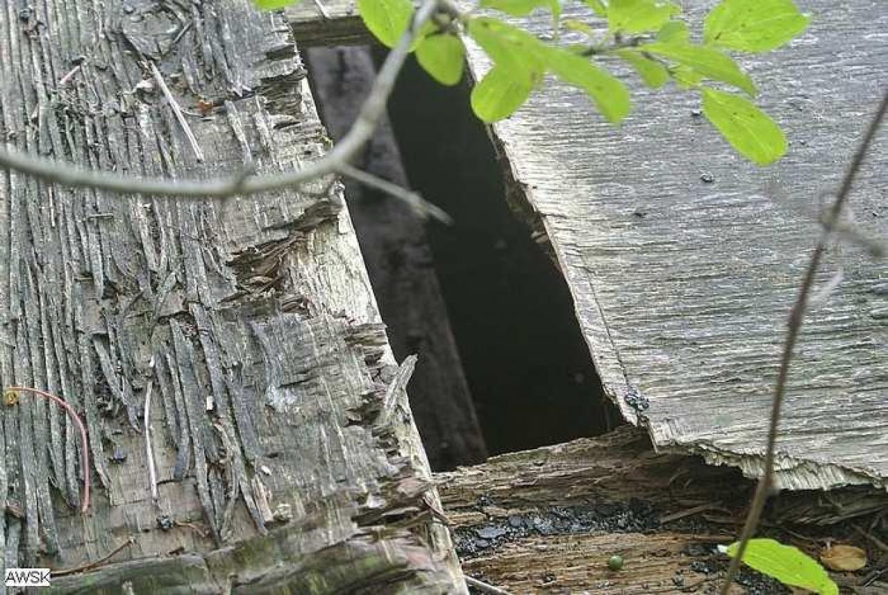 Cullen Gardens 4 - Cullen-Gardens334.jpg