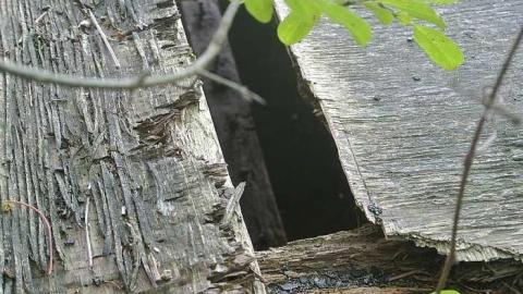 Cullen Gardens 4 - Cullen-Gardens334.jpg