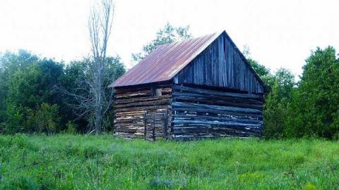 Overgrown cover photo